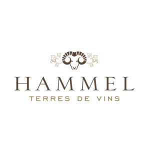 Logo Hammel Terres de Vins